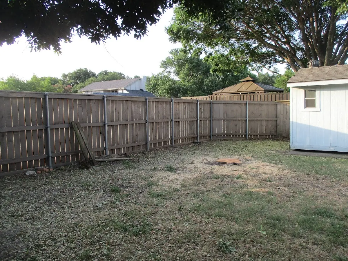 Cleared yard after professional tree removal in Royersford